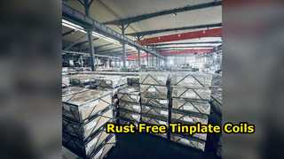Premium Electrolytic Tinplate Coils for Food Packaging